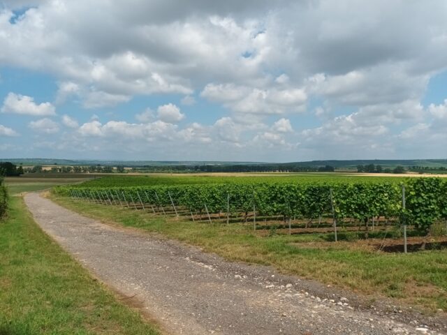 Der neue Krimi ist veröffentlicht – Christian Seifert ermittelt wieder!